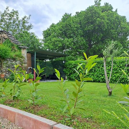 Guesthouse Marija Potpićan المظهر الخارجي الصورة