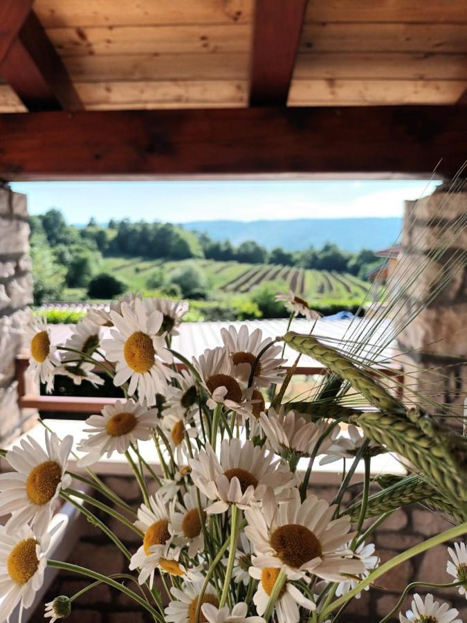 Guesthouse Marija Potpićan المظهر الخارجي الصورة